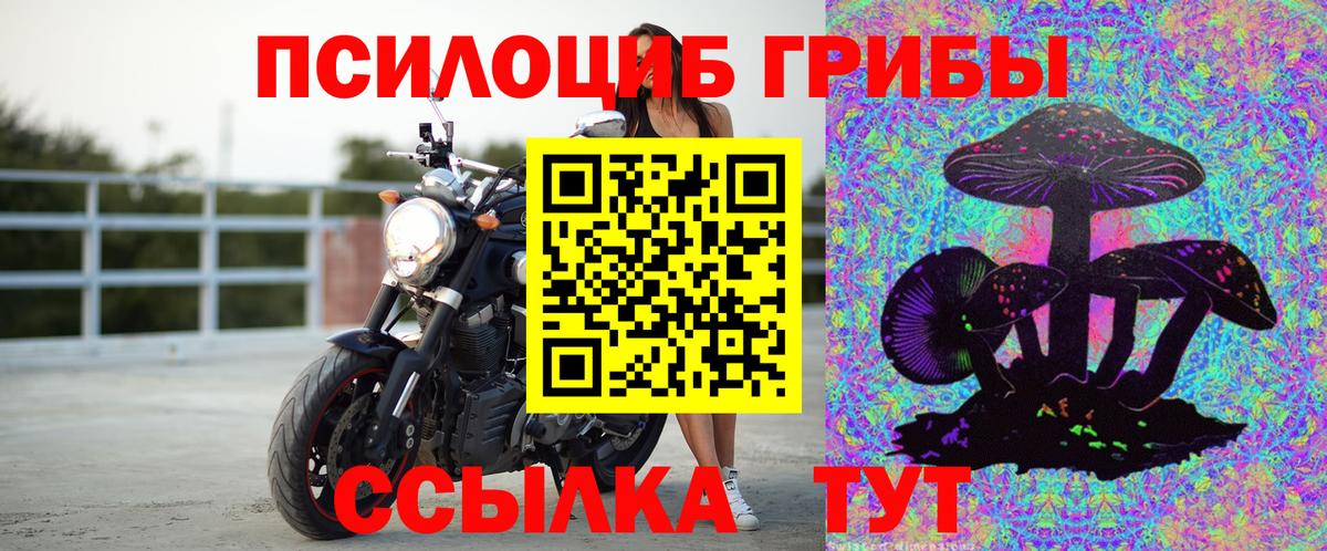 Кулебаки  Псилоцибиновые грибы Psilocybine cubensis  Вход с VPN 