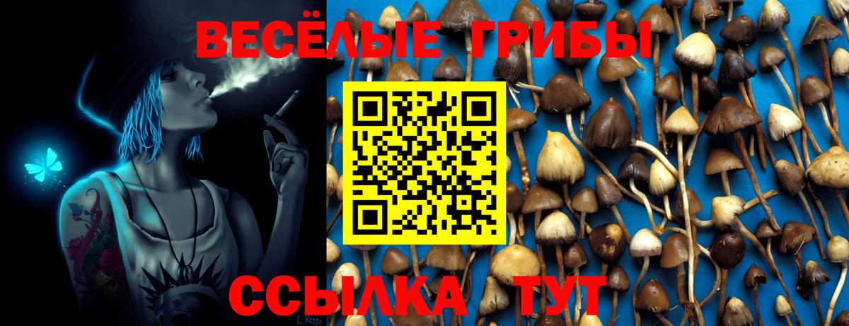 Псилоцибиновые грибы Magic Shrooms Кулебаки