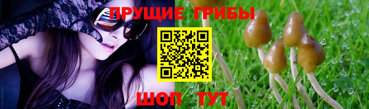 ГАШ  Кулебаки  МЕФ   Вход с VPN  Канабис 